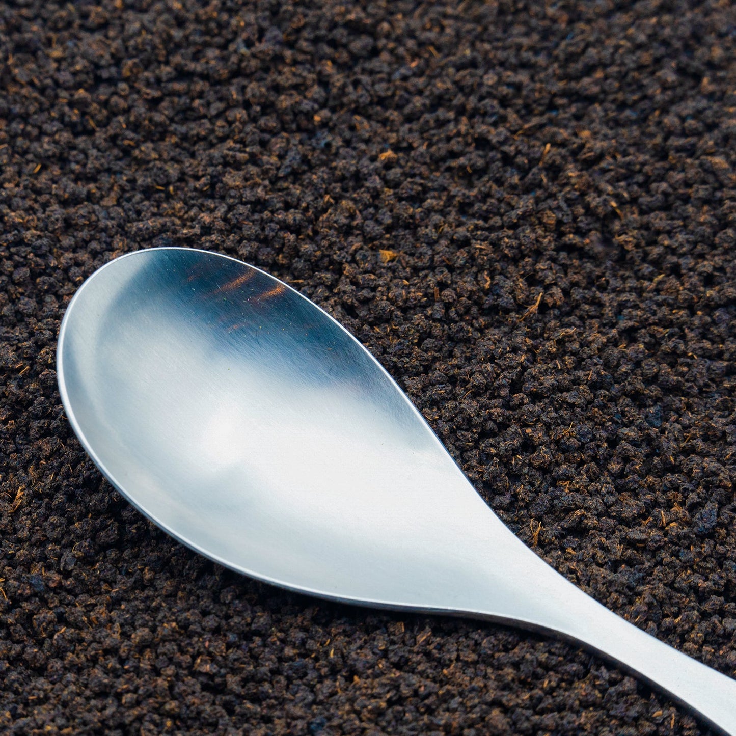 Pure Assam loose leaf black tea with a spoon resting on top