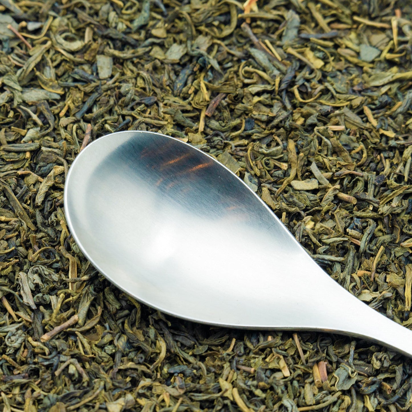 Loose leaf Jasmine Green Tea with a silver spoon resting on top
