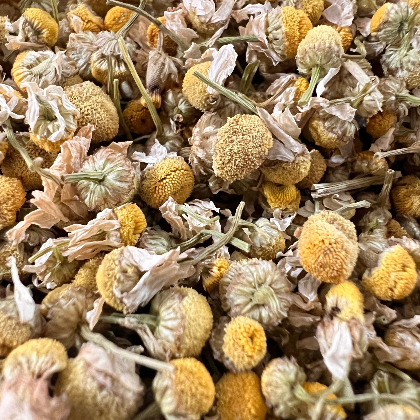Close-up of dried chamomile flowers with yellow and white hues.