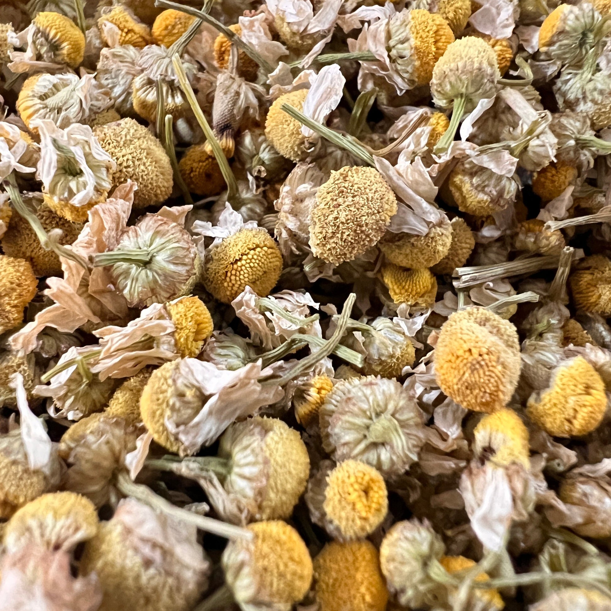 Close-up of dried chamomile flowers with yellow and white hues.