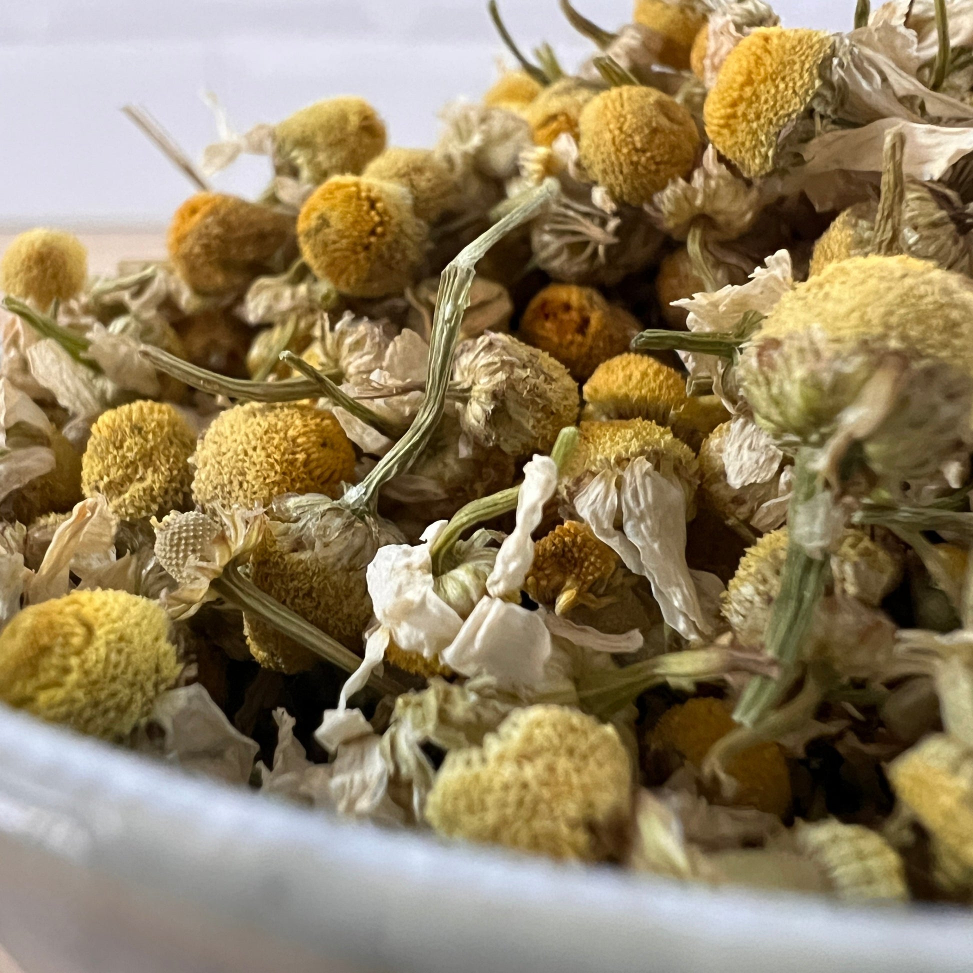 Close-up of dried chamomile flowers in a white container