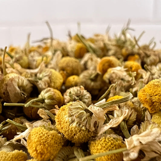 Close-up of dried chamomile flowers with a blurred background