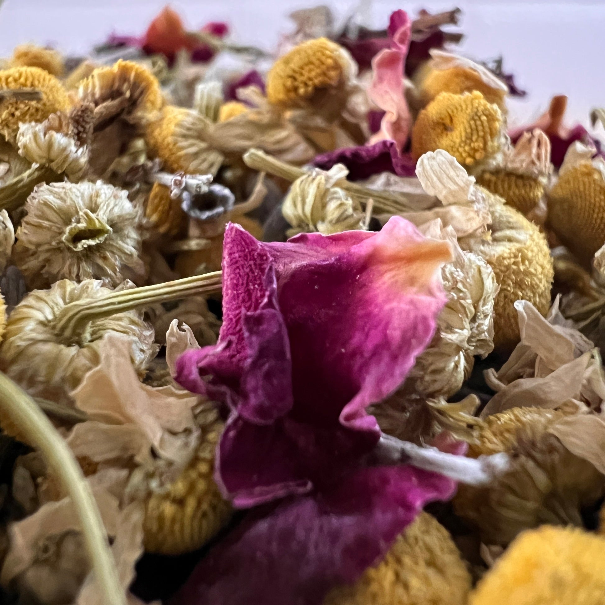 Close-up of rose petals, lavender and chamomile flowers