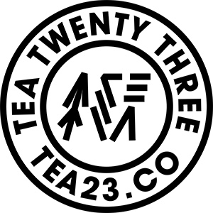 TEA23 logo