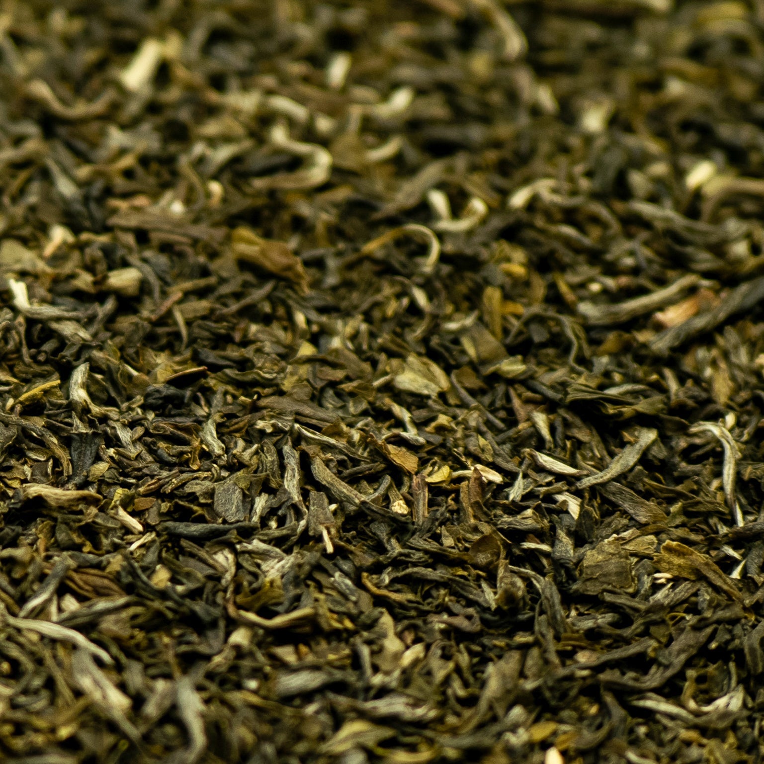 Green tea leaves