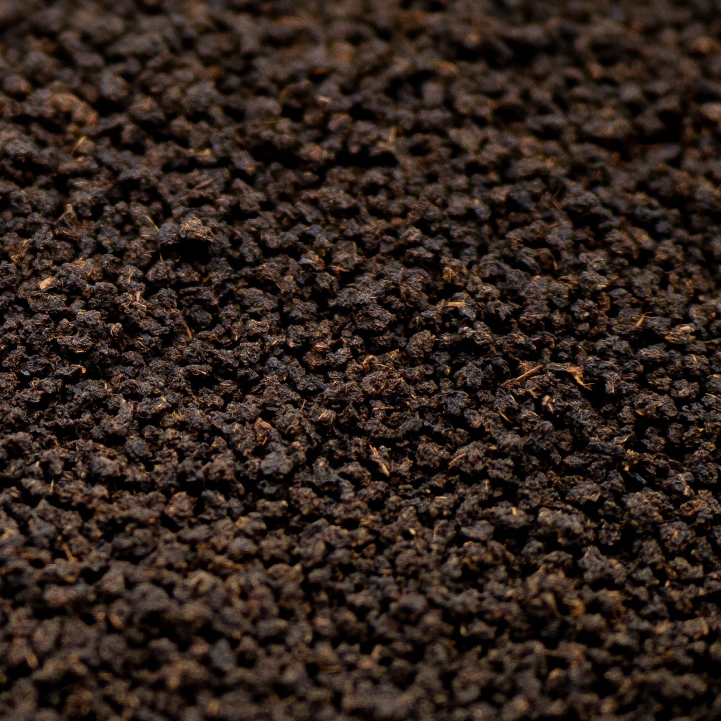 Close-up of loose leaf Assam black tea with rich dark texture