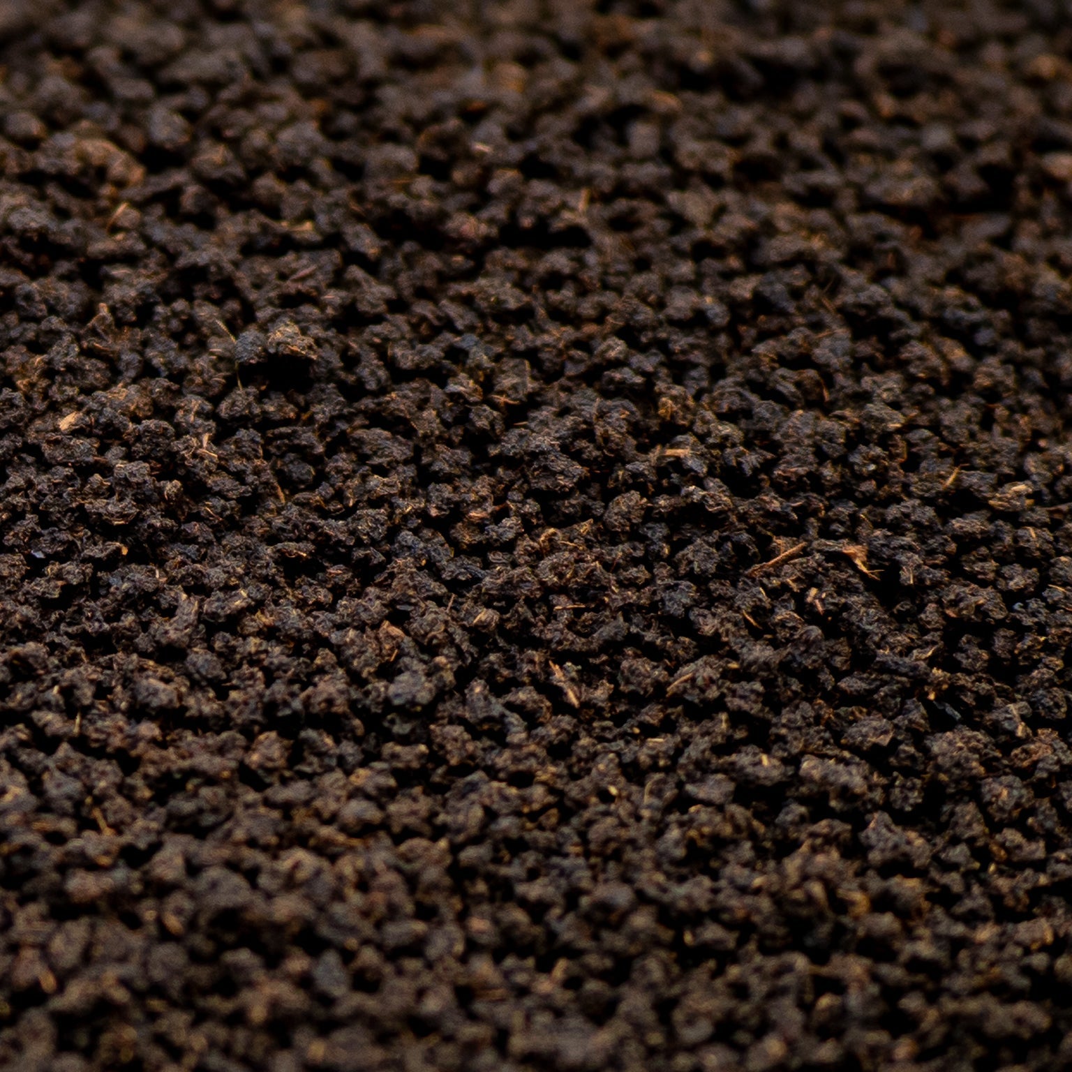 Close-up of loose leaf Assam black tea with rich dark texture