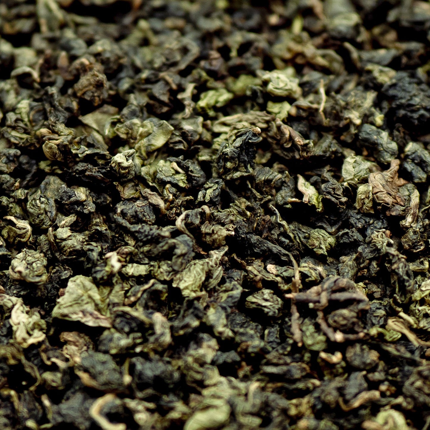 A pile of tightly rolled dark green tea leaves