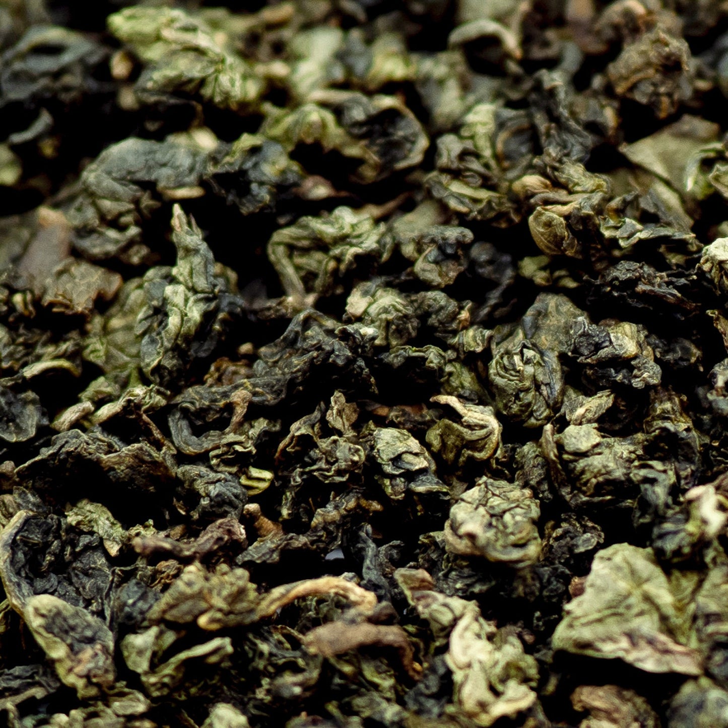 A close up of Chinese Jade Oolong loose leaf tea
