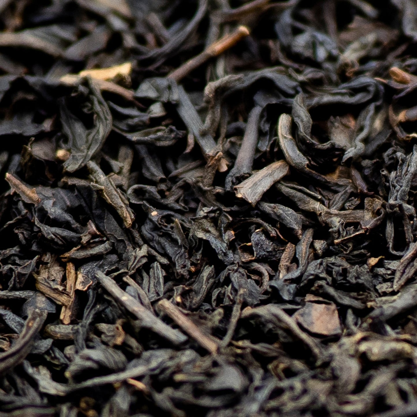 A close up of Lapsang Souchong smoked black tea