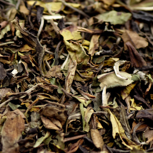 A close of Pai Mu Tan white tea leaves