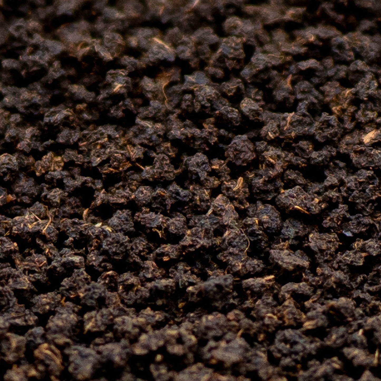 A close up of Pure Assam loose black tea from TEA23