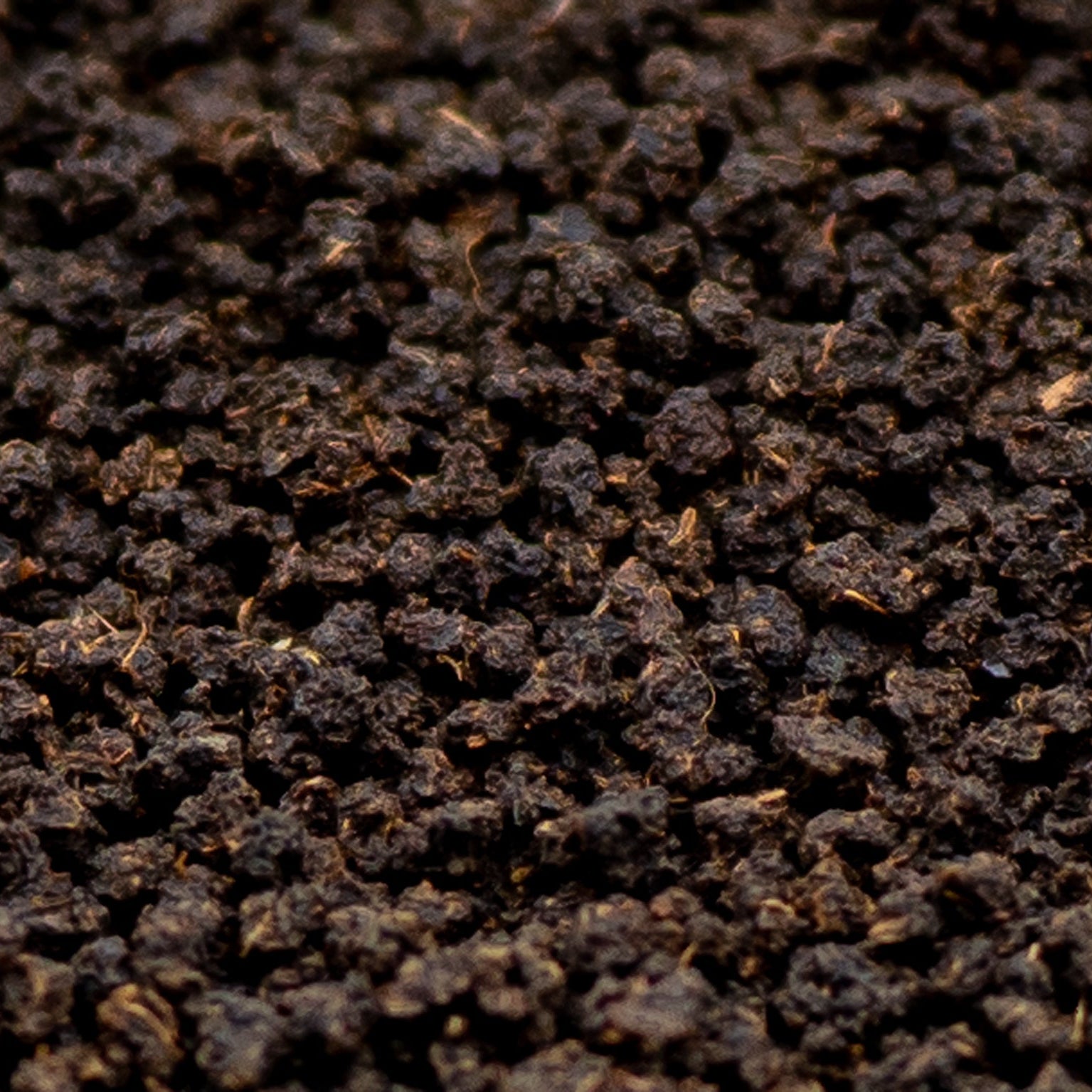 A close up of Pure Assam loose black tea from TEA23