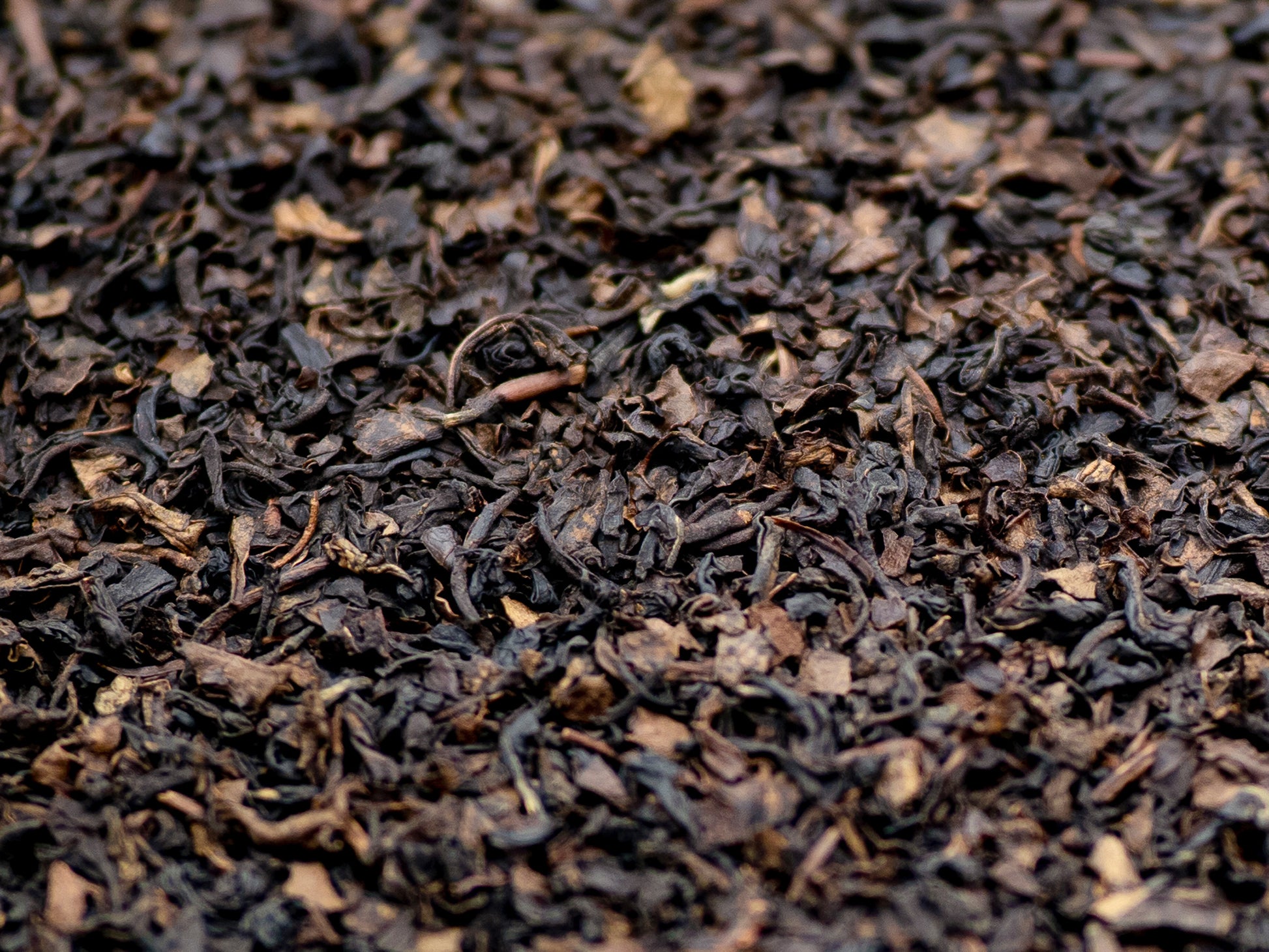 Decaffeinated Earl Grey loose black tea from TEA23