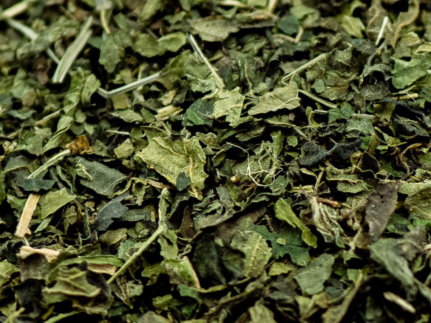 A close up of loose Nettle tea from TEA23