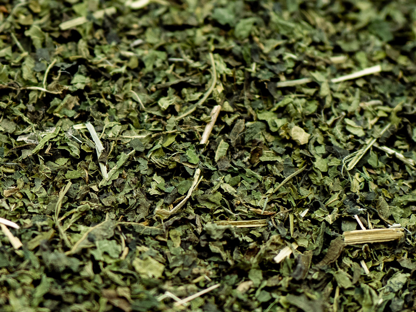 Loose Nettle tea from TEA23