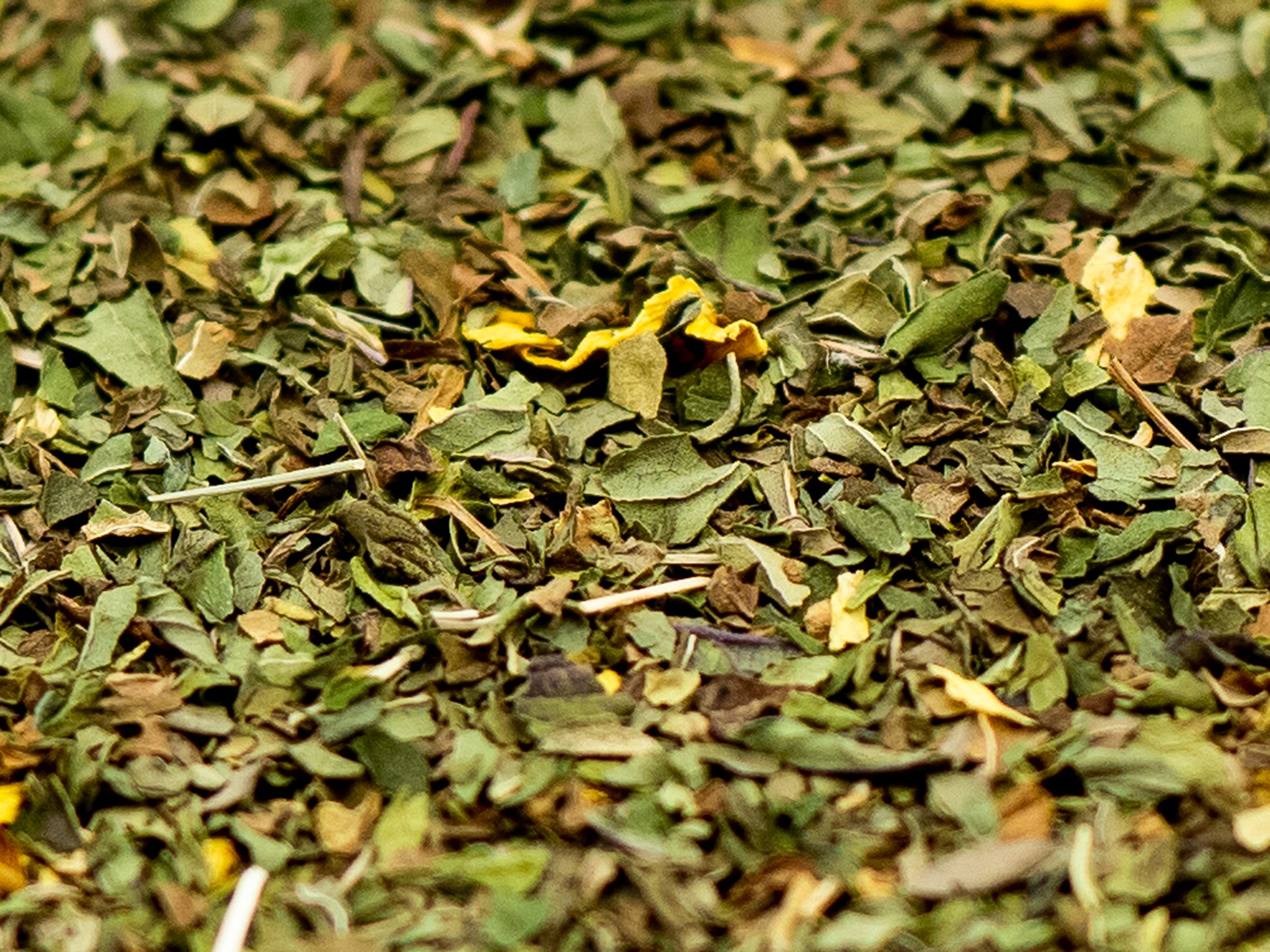 A close up of loose Mint tea from TEA23