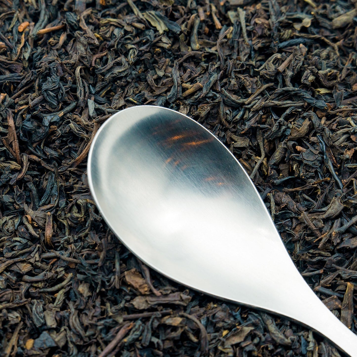 Loose leaf Lapsang Souchong black tea with a spoon resting on top