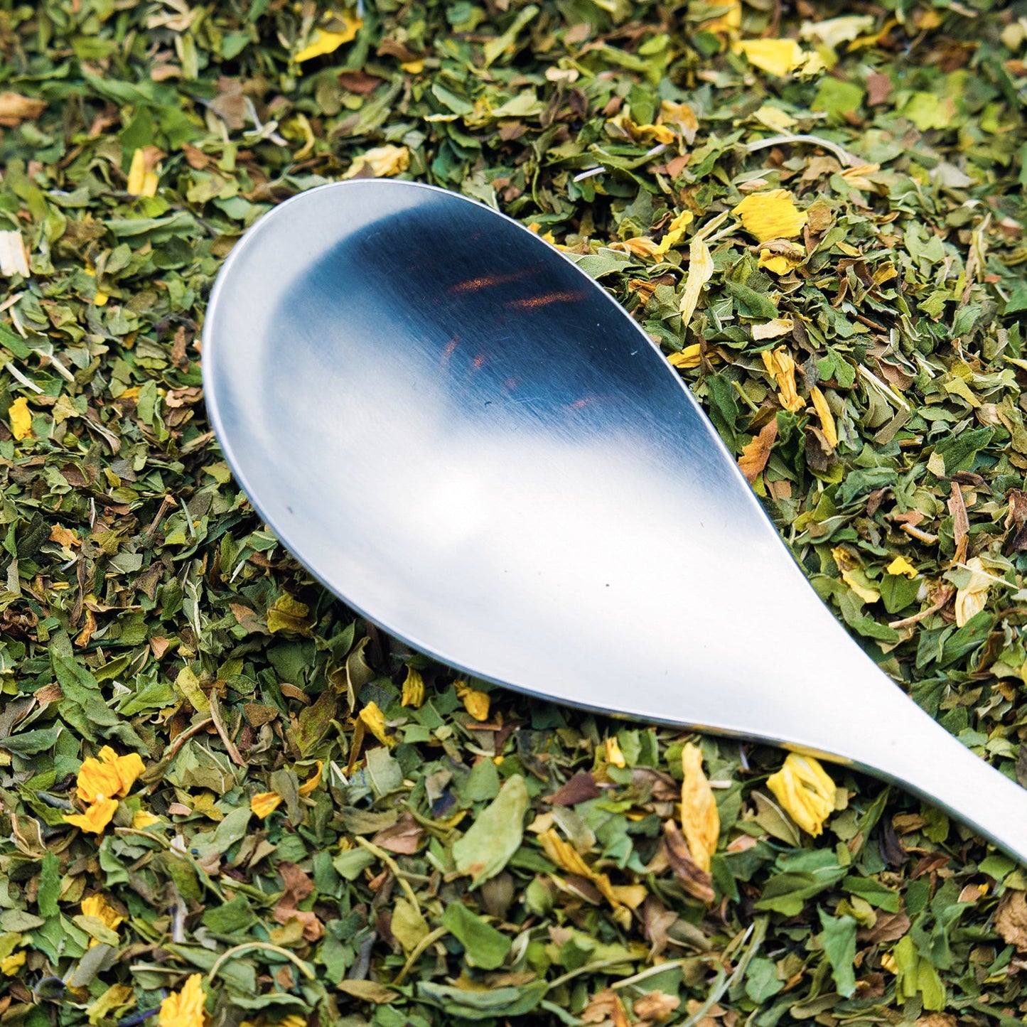 Loose leaf Mint Tea with a stainless steel spoon resting on top