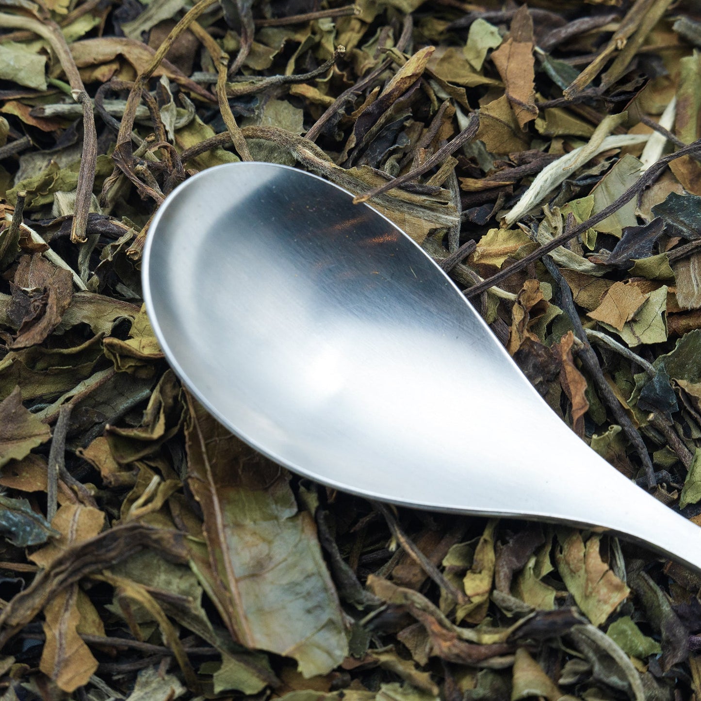 Chinese Pai Mu Tan white tea with a spoon resting on top