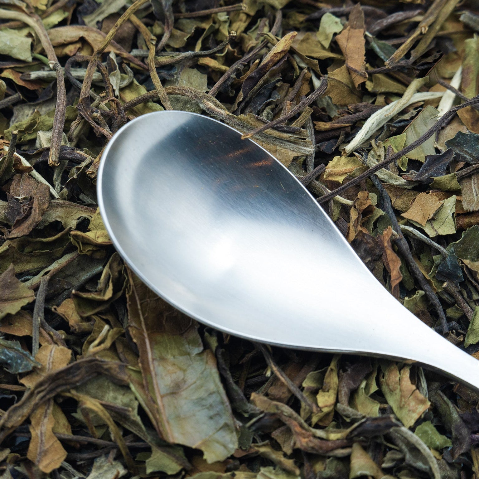 Chinese Pai Mu Tan white tea with a spoon resting on top