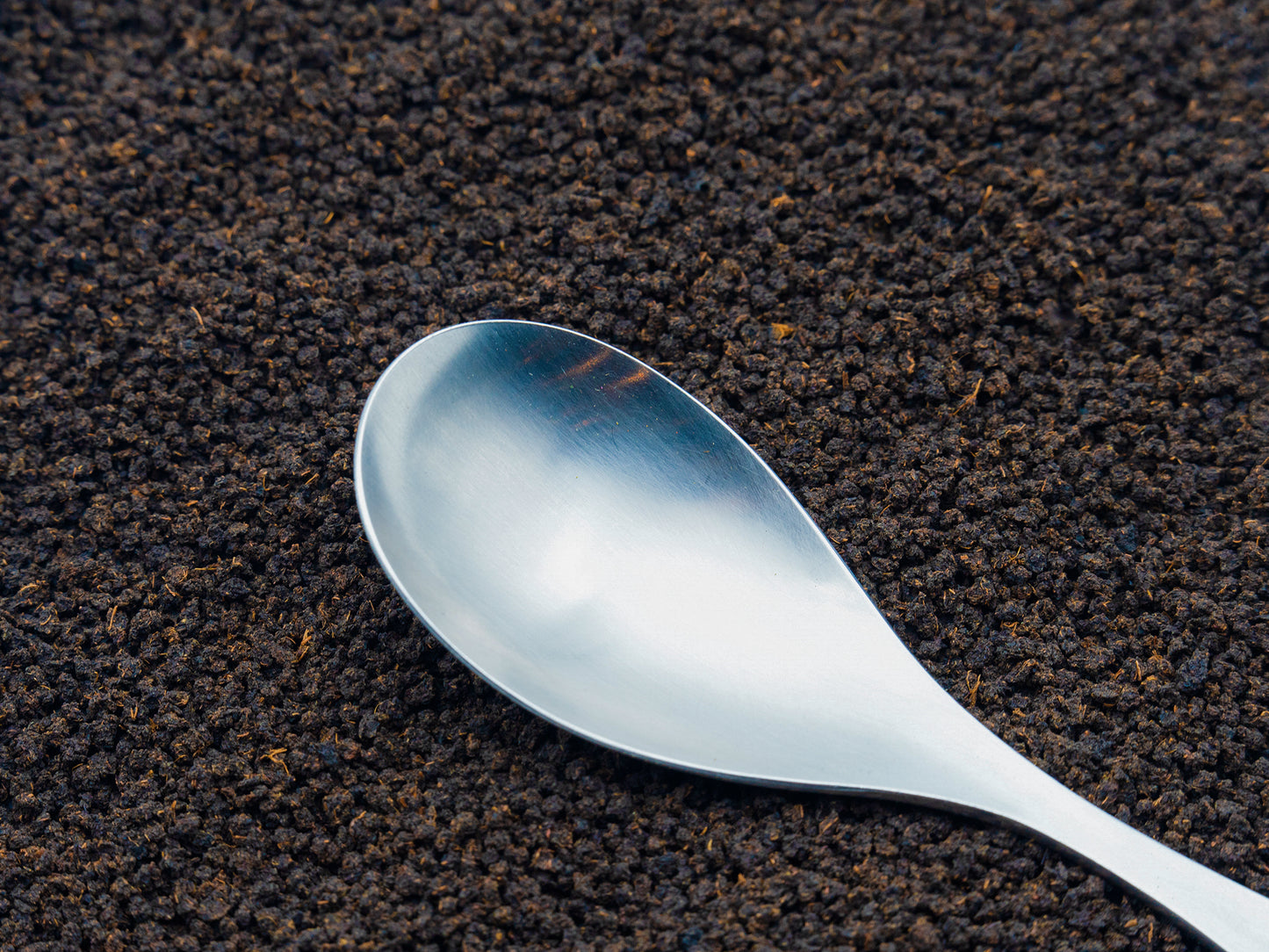 Pure Assam loose black tea from TEA23 with a spoon resting on top